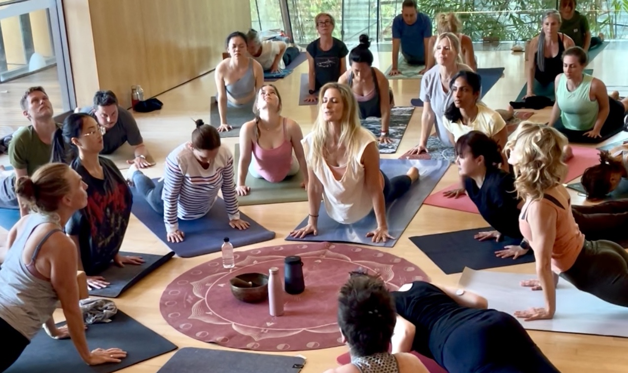 Surry hills class